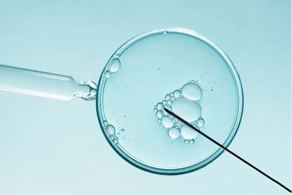 In-Vitro Fertilization (IVF)